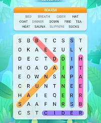 Word Search Explorer
